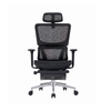 Ergonomic Lumbar Support Mesh Chair with Adjustable 3D Armrest And Headrest