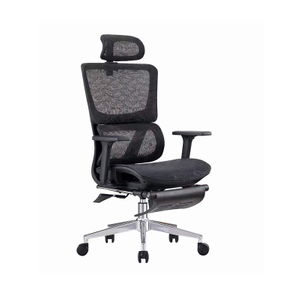 Ergonomic Lumbar Support Mesh Chair with Adjustable 3D Armrest And Headrest