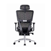 Ergonomic Lumbar Support Mesh Chair with Adjustable 3D Armrest And Headrest