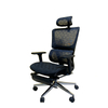 Ergonomic Lumbar Support Mesh Chair with Adjustable 3D Armrest And Headrest